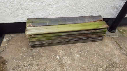 Photo of free Firewood (Chingford E4) #1
