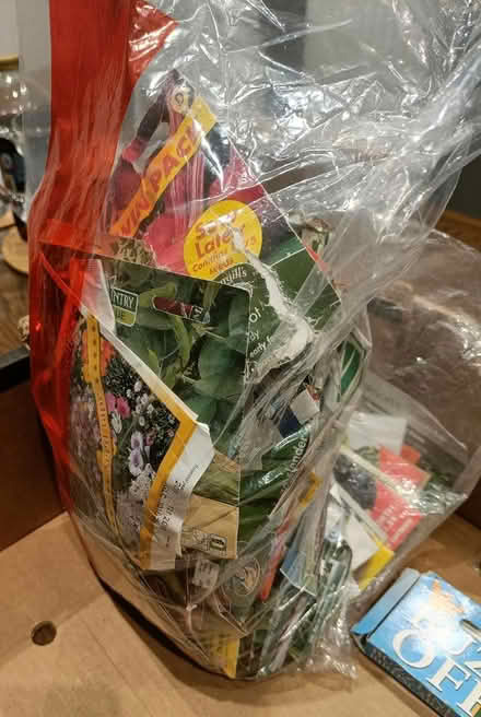 Photo of free Seeds and gardening tools (Exeter EX2) #3