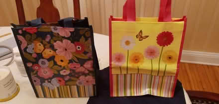 Photo of free 2 Bags (Hintonburg) #1