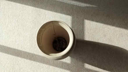 Photo of free Indoor pot (Leybourne) #3