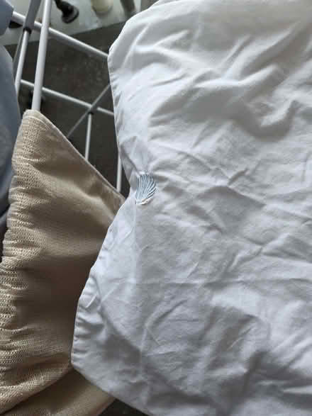 Photo of free White Double Duvet Set (Margate CT9) #2