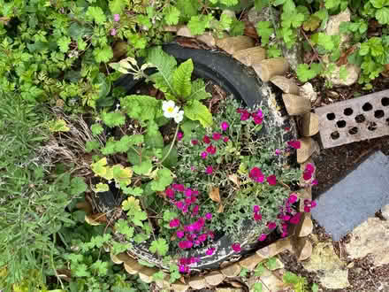 Photo of free Car wheels (Thame OX9) #4