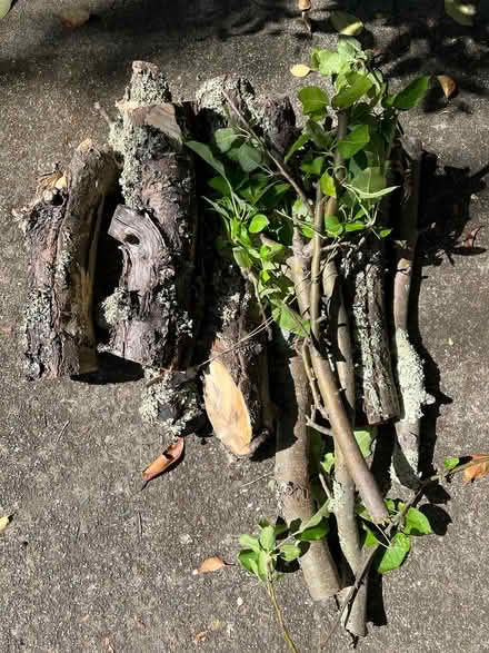 Photo of free Apple Wood (Sun Valley) #1