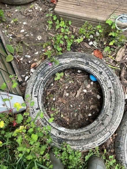Photo of free Car wheels (Thame OX9) #2