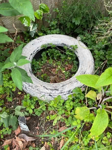 Photo of free Car wheels (Thame OX9) #3
