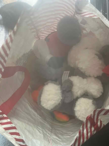 Photo of free Teddys (BD18) #1