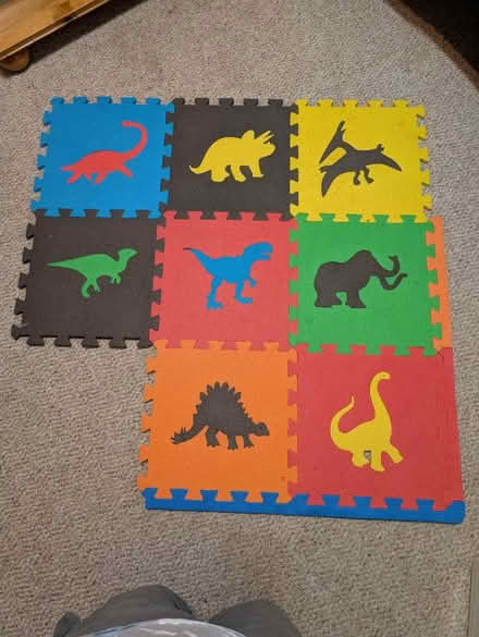 Photo of free Used foam dinosaur squares (Bowie) #1