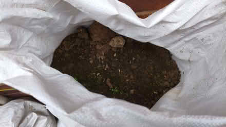Photo of free Soil / Top soil (Parson's Heath CO4) #2