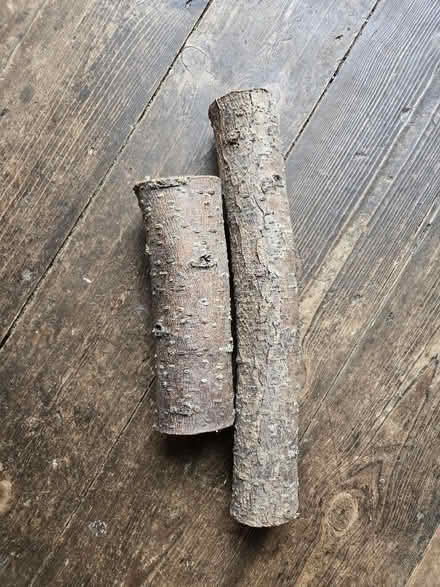 Photo of free Bag of eco coal and 2 logs (Aldrington BN3) #2