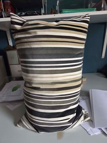Photo of free 2 x Cushions (Reading West RG1) #1