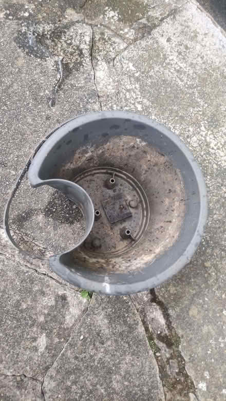 Photo of free Plant pot for drainpipe (Chislehurst BR7) #2