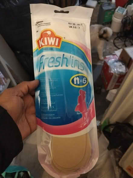 Photo of free New (Croydon) #1