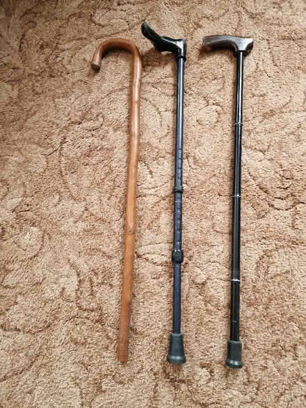 Photo of free Walking sticks (Middle Deal CT14) #1