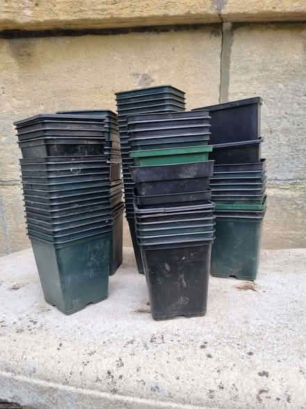 Photo of free 9cm Plant Pots (Odd Down BA2) #1