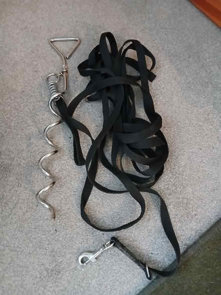 Photo of free Tether (RH1 Redhill) #1