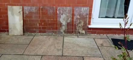 Photo of free Glass panels (Retford DN22) #1