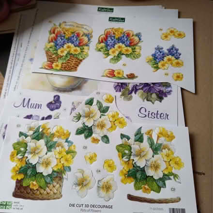 Photo of free Katy Sue designs die cut 3d decoupage pages (Bramley Green RG26) #1