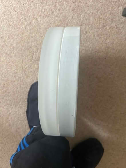 Photo of free ceiling light fitting (Fleetville AL1) #2