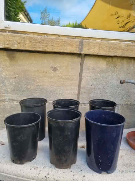 Photo of free Tall plant pots (Odd Down BA2) #1