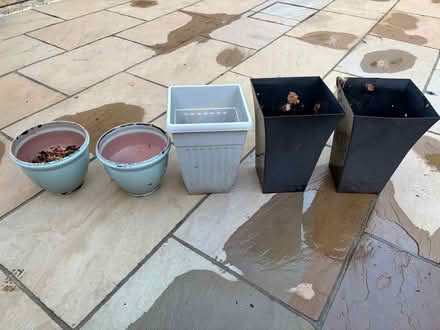 Photo of free Plastic plant pots (Bussage GL6) #1