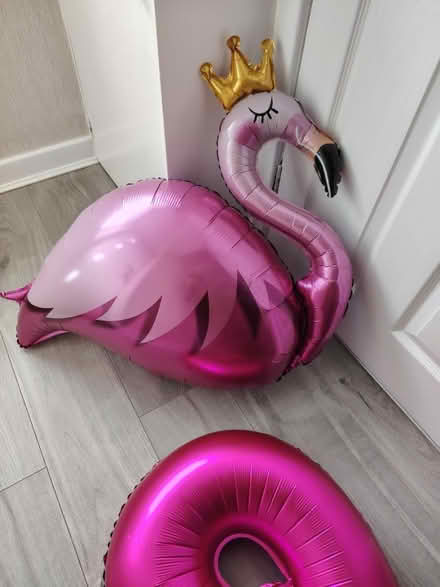Photo of free Balloons (Pensby CH61) #2