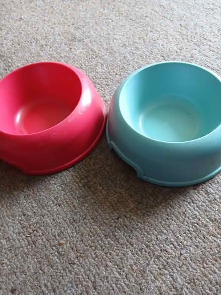Photo of free 2 cat bowls (West Hill TN34) #1