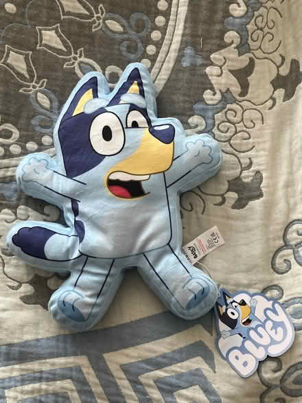 Photo of free Bluey cushion - New & tags (New Eltham SE9) #1