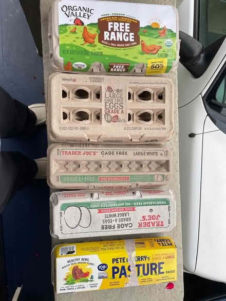Photo of free Egg cartons (Oakland) #1