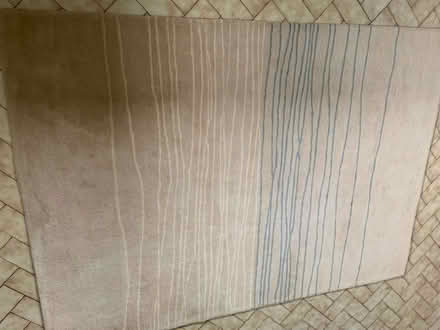 Photo of free Brink & Campman 'Estella' rug 140 x 200cm, beige (Churchstoke SY15) #1