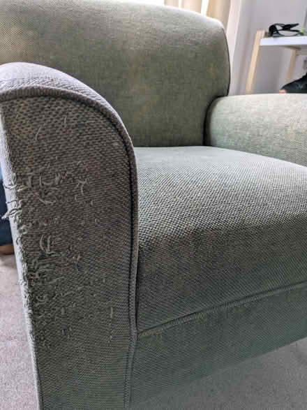 Photo of free Green chair (Nether Edge S7) #4