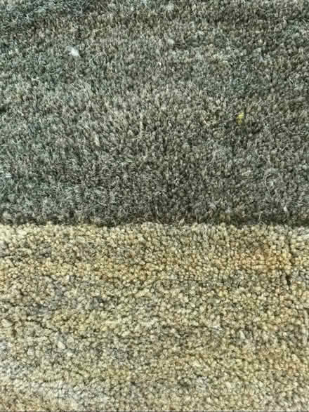 Photo of free two tone green rug (east hollywood) #2