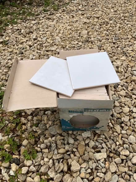 Photo of free 6" white tiles. (Downend GL6) #1