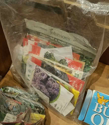 Photo of free Seeds and gardening tools (Exeter EX2) #2