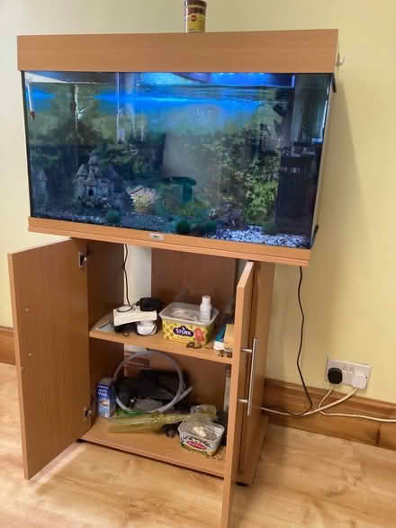 Photo of free Fish tank and accessories (Stanton on the Wolds NG12) #1