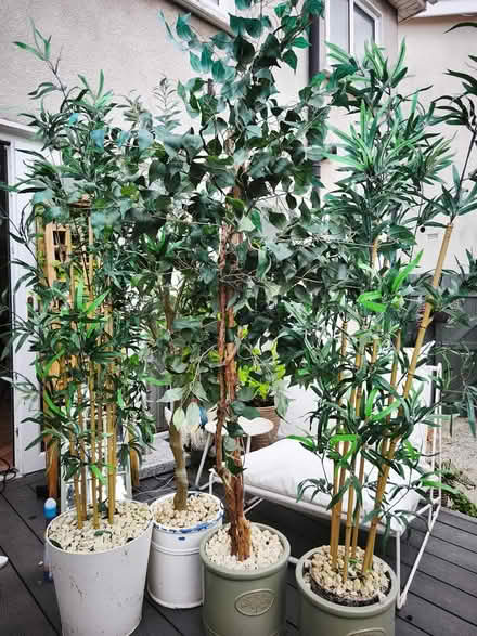Photo of free Artificial Trees (Ballinteer) #2