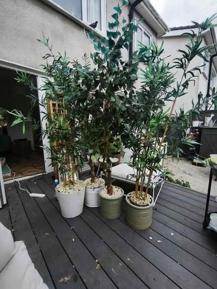 Photo of free Artificial Trees (Ballinteer) #1