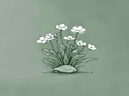 Photo of free Aquatic plants - forget-me-not (Cogges OX28) #1