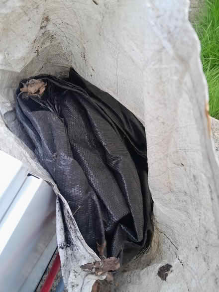 Photo of free Weed mesh (Smiths Estate OX28) #1