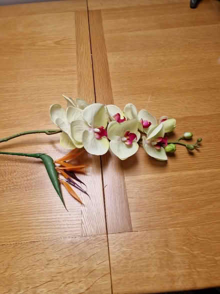Photo of free Artificial flowers (Ormesby St Margaret NR29) #3