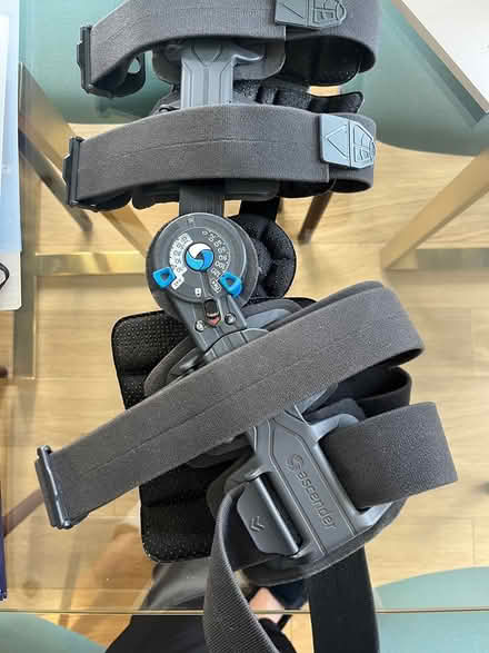 Photo of free Knee brace (E1) #1