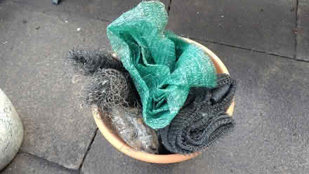 Photo of free Assorted Gardening equipment (Torbrex FK8) #2