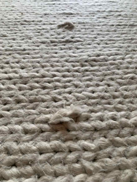 Photo of free Wool rug (Staveley LA8) #4