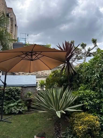 Photo of free Parasol (North Road N7) #1