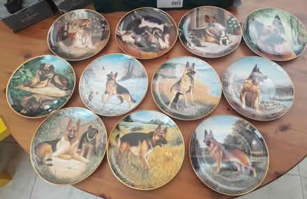 Photo of free Danbury Mint German Shepherd plates (Burgess hill) #1