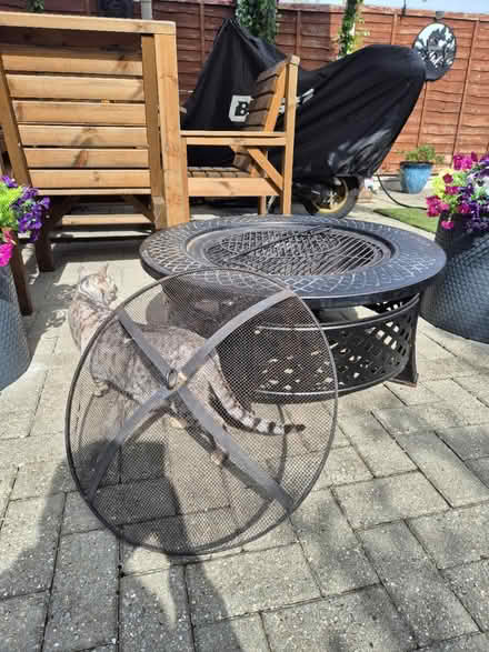 Photo of free Round fire pit and weather cover (Welling DA16) #4