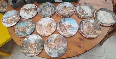 Photo of free Royal Doulton tiger plates (Burgess hill) #1