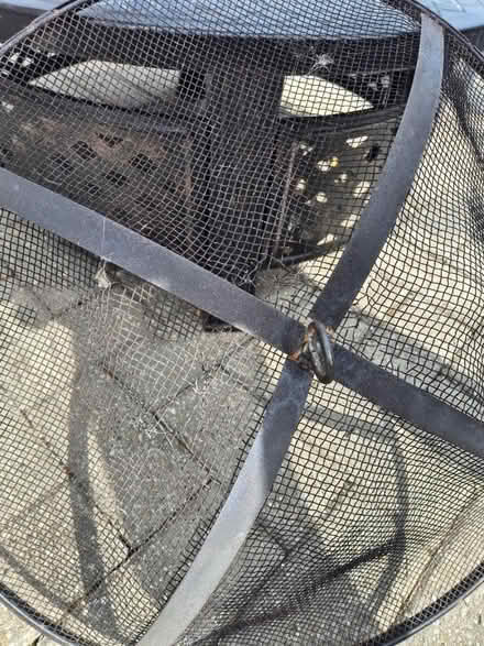Photo of free Round fire pit and weather cover (Welling DA16) #1