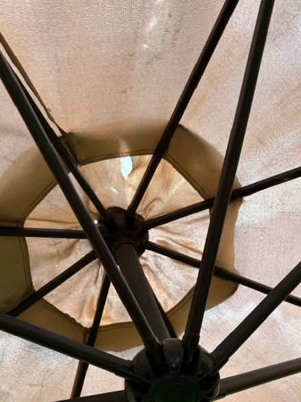 Photo of free Parasol (North Road N7) #2