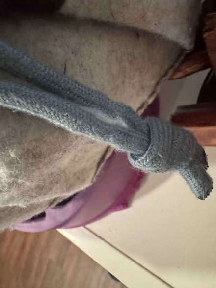 Photo of free Dogs snuffle mat (Oakland, CA) #4
