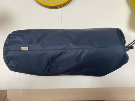 Photo of free Dog mat (East Twerton BA2) #2